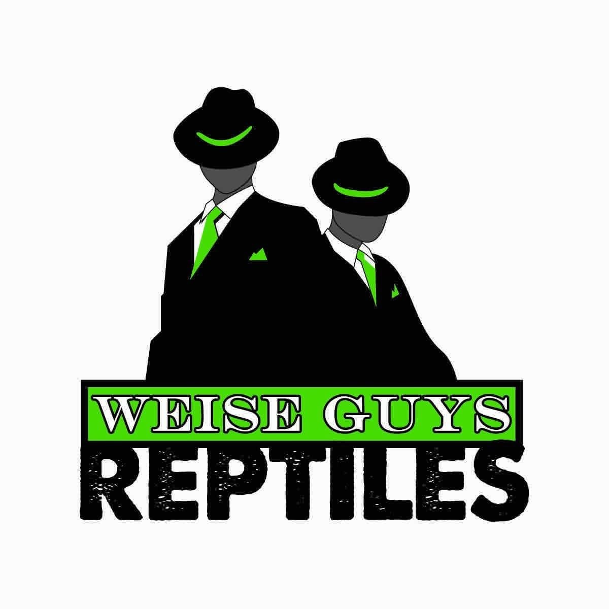 Weise Guys Reptile show